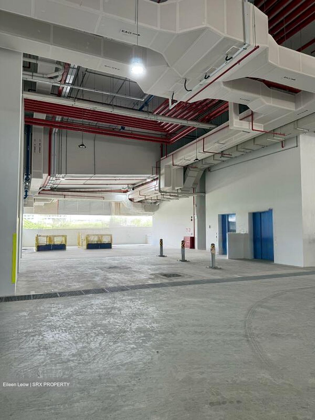 Ct Foodnex (D25), Factory #498352401